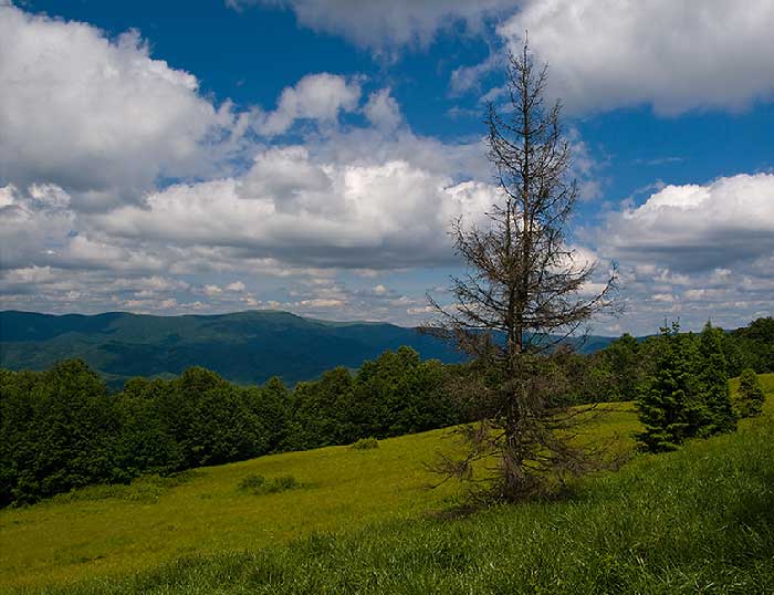 Ужанский национальный парк, фото 